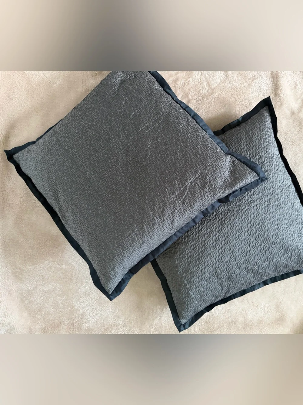 Two Decorative Throw Pillows Covers with Dark Trim (Pair) 24X 24